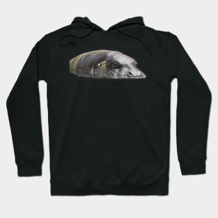 Pygmy Hippo Hoodie